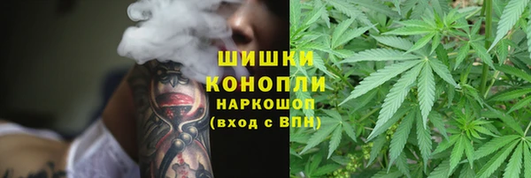 каннабис Беломорск