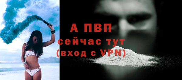 гидра Белокуриха