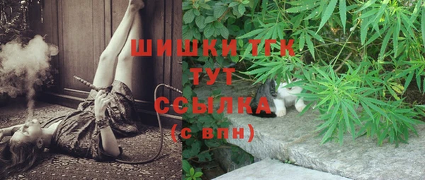 ПСИЛОЦИБИНОВЫЕ ГРИБЫ Белоозёрский
