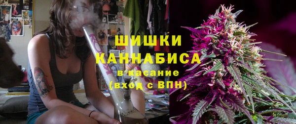 гидра Белокуриха