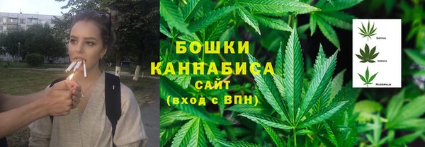 гидра Белокуриха