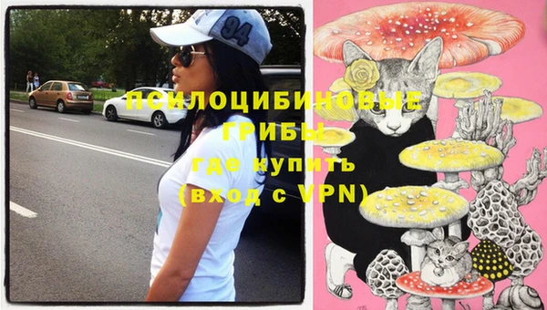 ПСИЛОЦИБИНОВЫЕ ГРИБЫ Белоозёрский