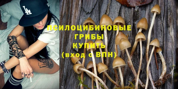 гидра Белокуриха