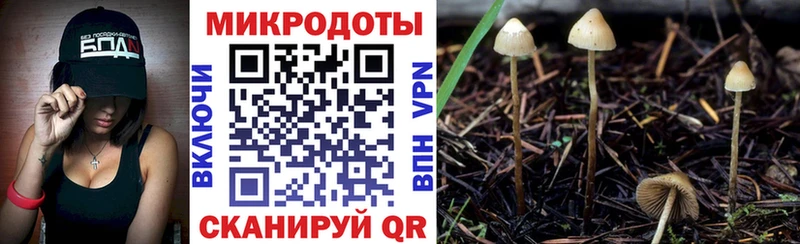 Псилоцибиновые грибы Magic Shrooms  Малоярославец 