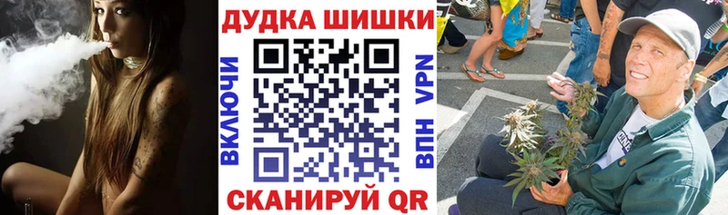 Шишки марихуана марихуана купить наркоту Малоярославец